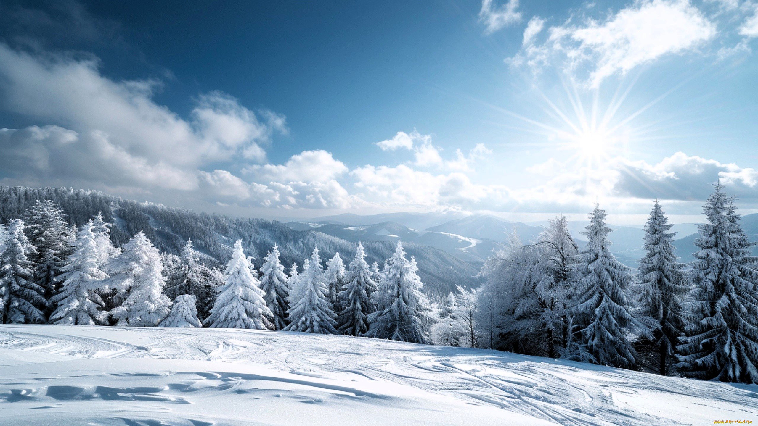 3 ,  , nature, , , , , 